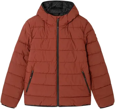 Chaqueta para Hombre Springfield