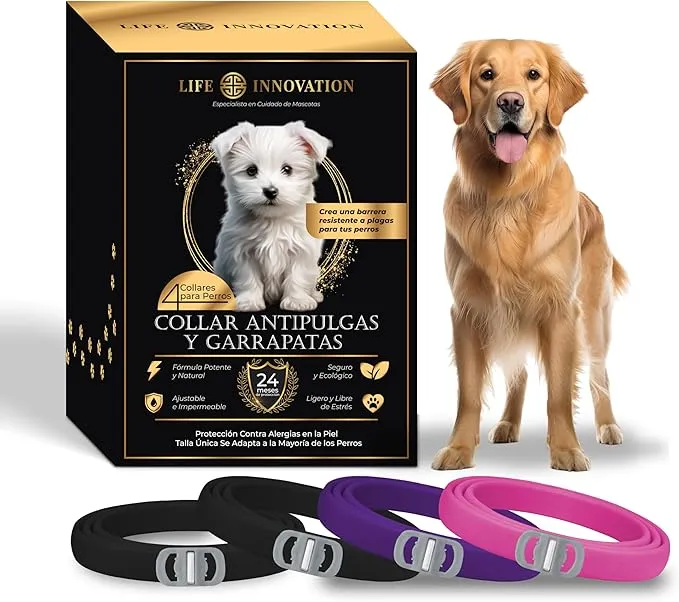 Pack 4 Collares Antiparasitarios Naturales para Perros - 24 Meses de Protección